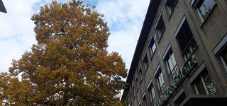 Bild zu PSD Bank Koblenz eG